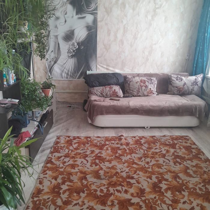 Дом на два хозяина