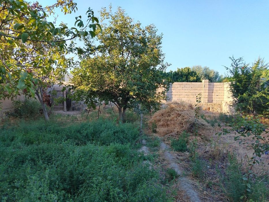 Ховли сотилади кармана туман да