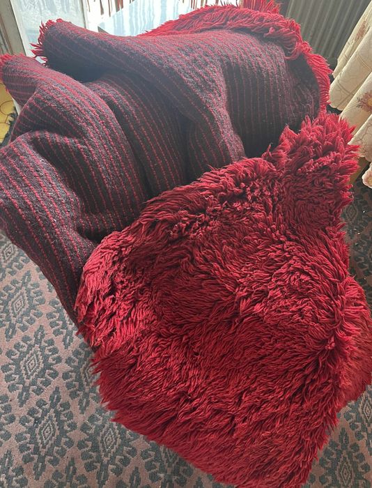 Червен вълнен китеник