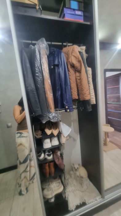 Шкаф-купе с зеркалами