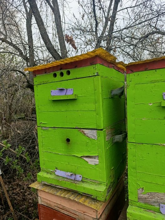 Улья для пчел  продам