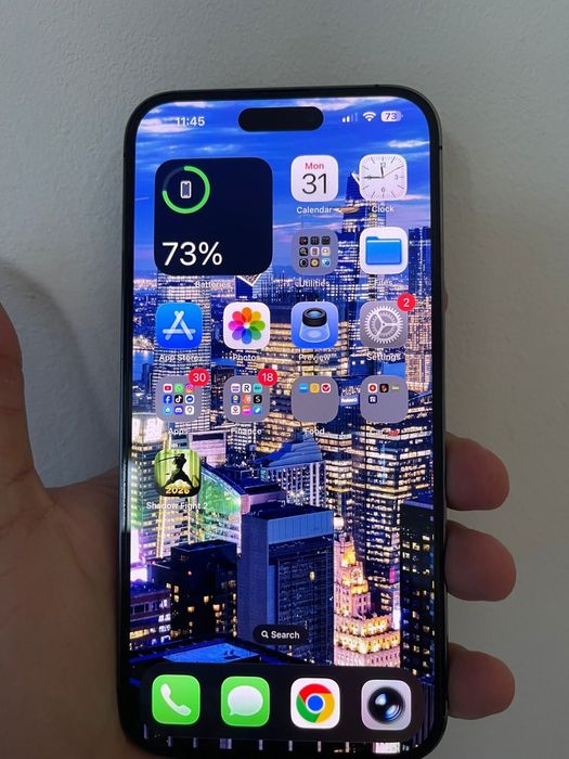 iPhone 14 Pro Max