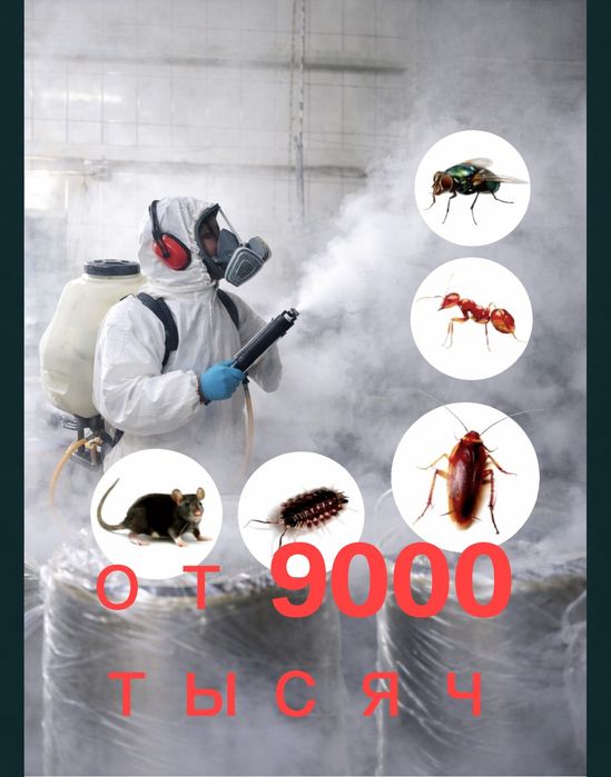 Дезинфекция от клопов и тараканов