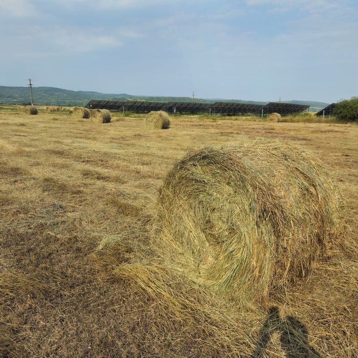 Vând baloti fan amestec cu lucerna.