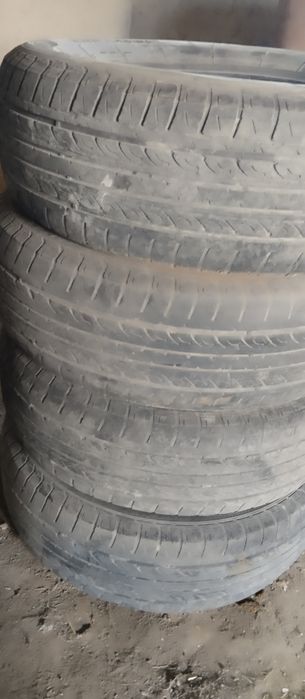 Шина сотлади 14. Лик