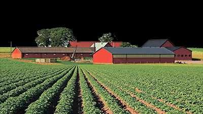 Ер огород фермер дала дехкон хужалик