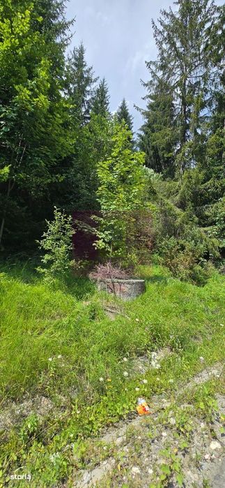 Teren de vânzare în zona Cota 1000 – Sinaia