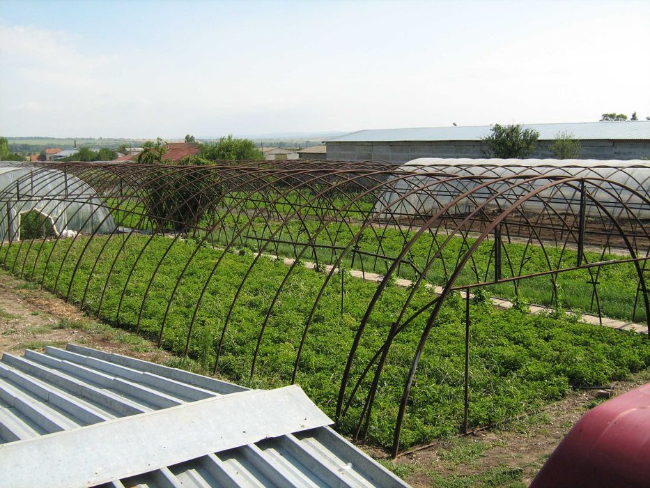 Продава се Къща в с. Поликраище, Област Велико Търново - 5718 кв.м за 9 €/кв.м - Снимка #2