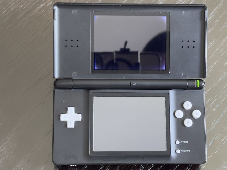 Nintendo DSLite R4 card