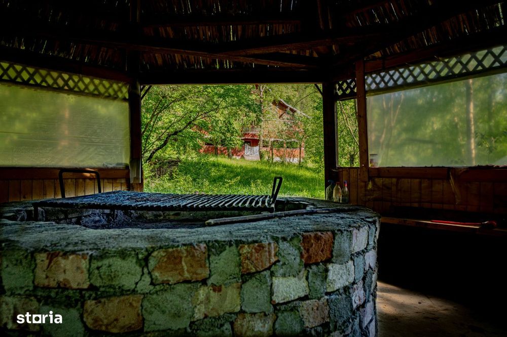 Cabana: afacere si vacanta in acelasi loc | Camenca, Brusturoasa