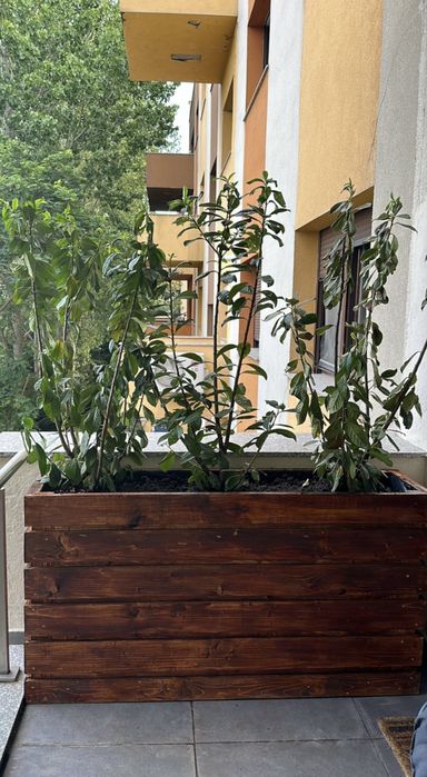 Set 2 jardiniere terasa/gradina/balcon