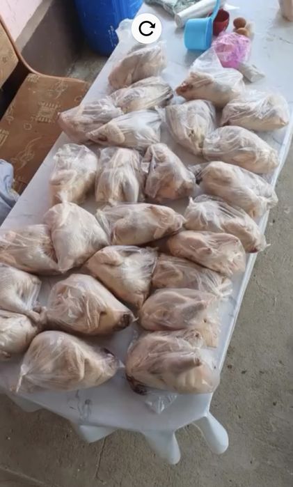 Доманые куры тушка 2000тг