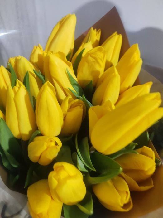 Тюльпаны желтые срочно продам