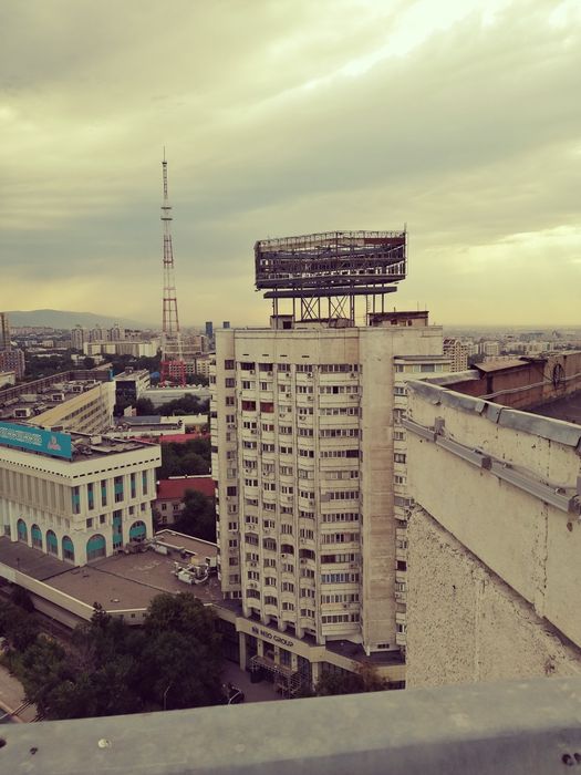 Баннеры для сада и огорода