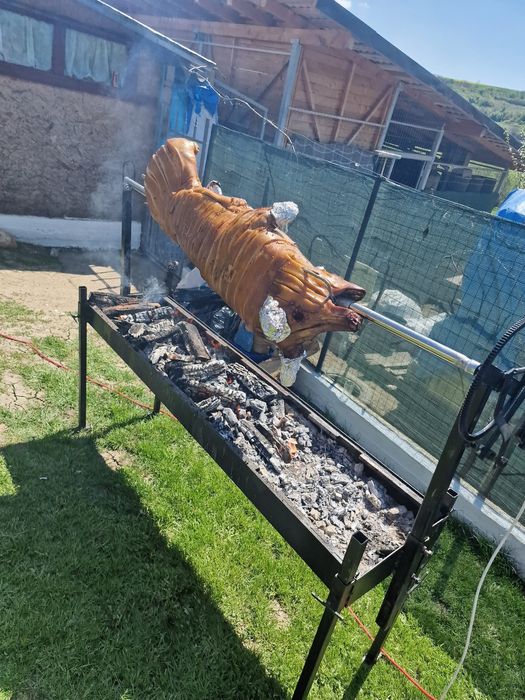 Rotisor proțap electric