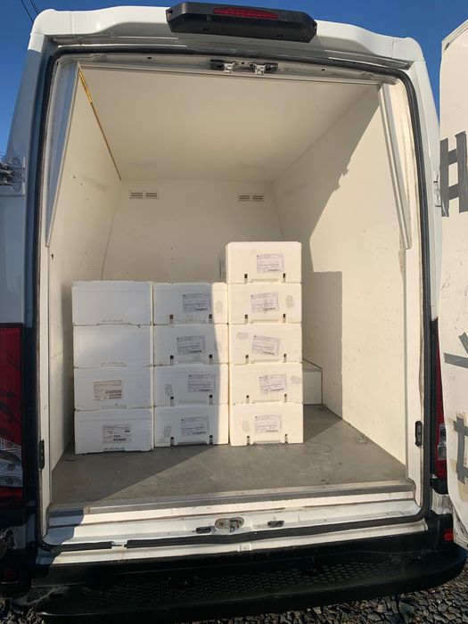 Iveco Daily 35c18-3.0- Duba Maxi XXL-Frigorific-20-Euro6-2019-Austria