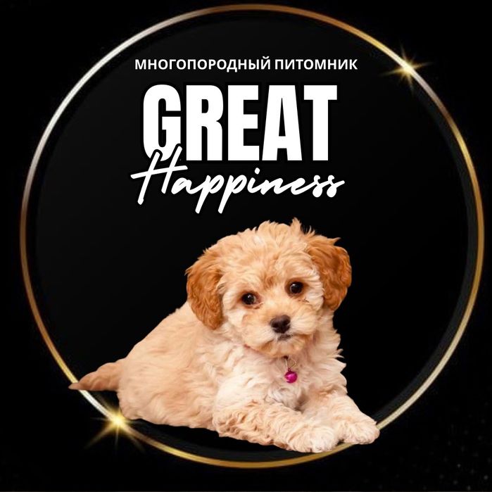 Чудесные малыши Мальтипу