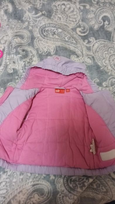 Пролетно яке Пума