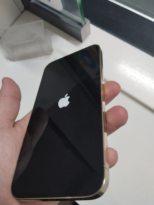 Iphone 12 pro max / айфон 12 про макс