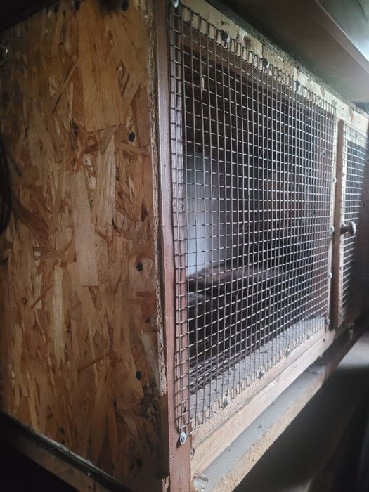 Продам  два брудера для бройлеров, несушек.