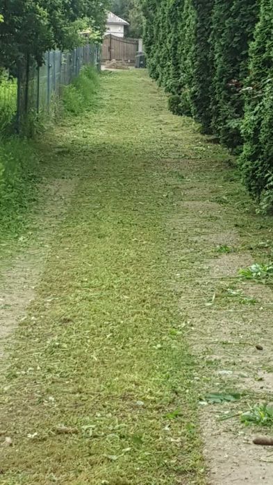 Întreținere Terenuri – Cosit, Suflat, Tocat –  Bacău și împrejurimi