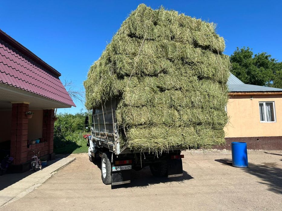 Сено люцерно с доставкой