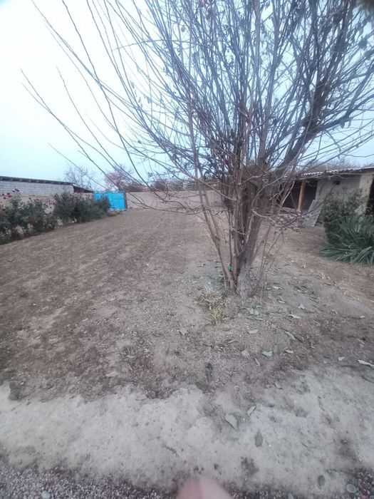 Yer sotiladi srochno tashmoryada 4 sotix