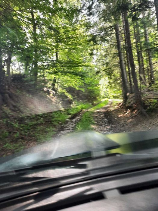 Teren extravilan Câmpu lui Neag(Fețele Topliței)-judetul Hunedoara