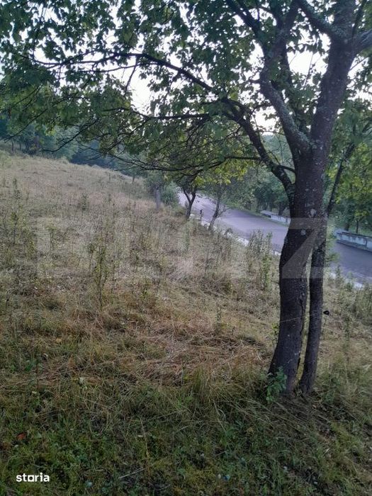 Teren extravilan, 2.175 mp, zona Șesuri