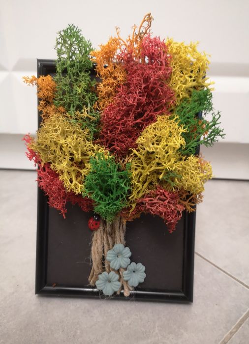 Ръчно изработени картини със скандинавски мъх