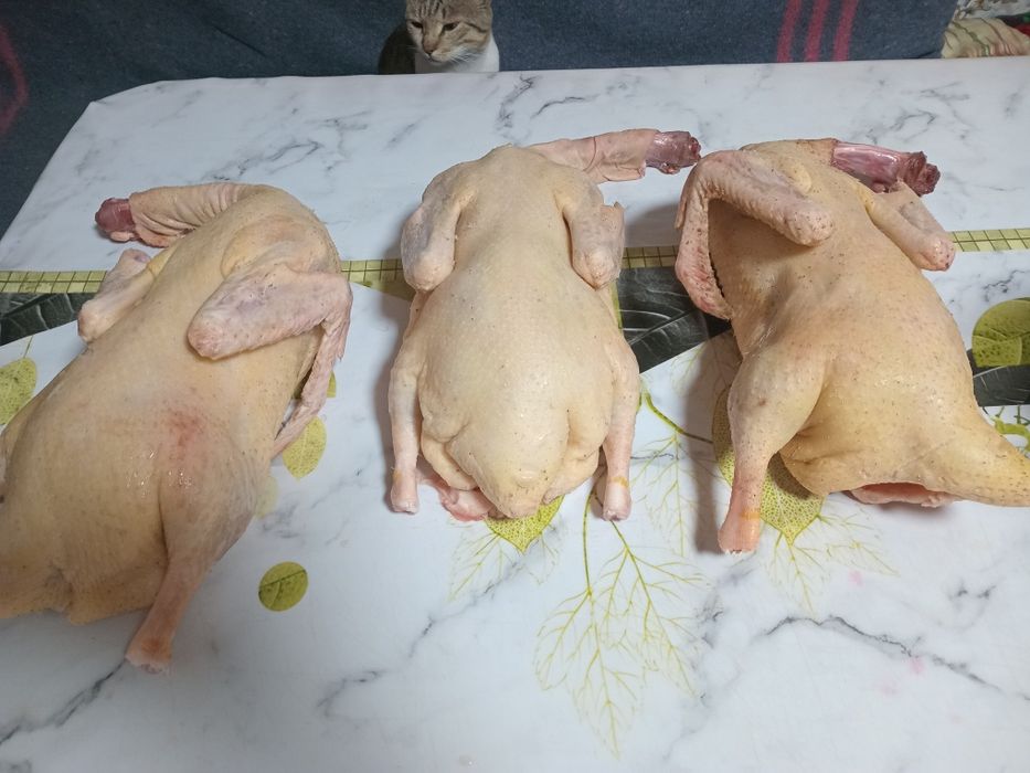 Продаю домашную утку