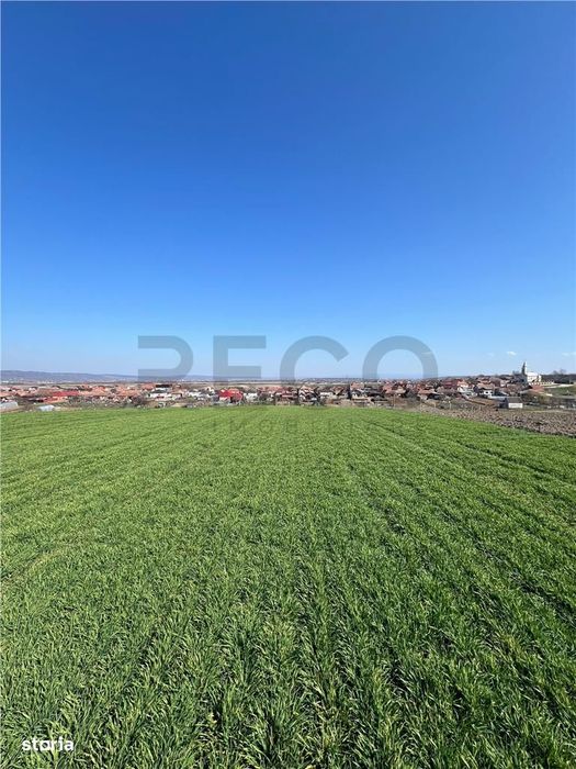 RECO Teren extravilan in Cheriu, Bihor