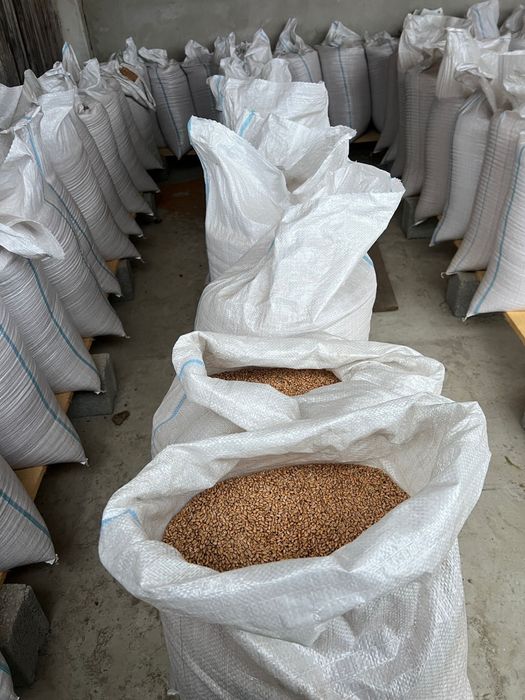 Vand 2500 kg grau  , pret 1 leu/kg