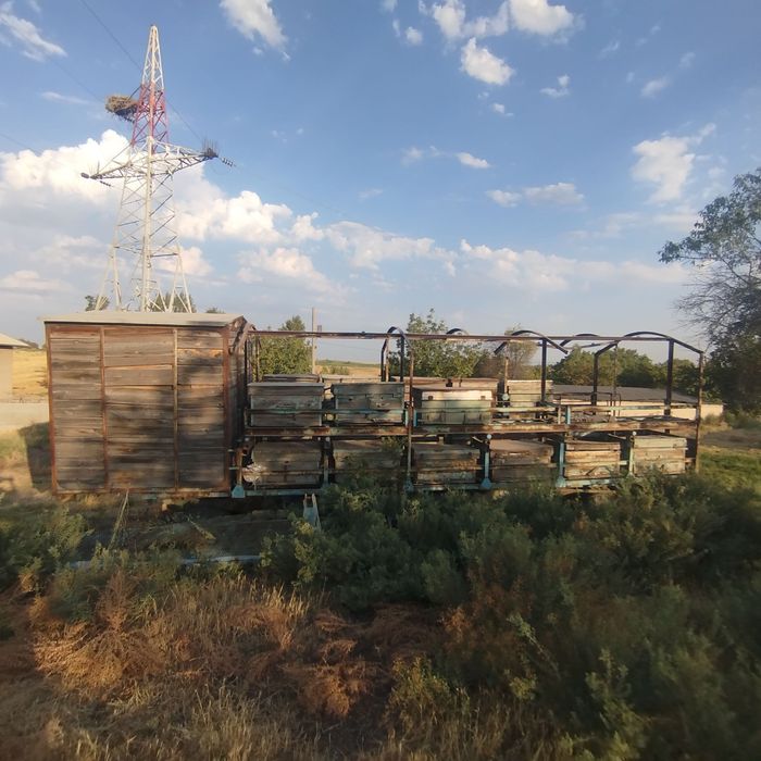 Асал ари . Прицеп.Продаётся  тележка Для Пчеловодства.