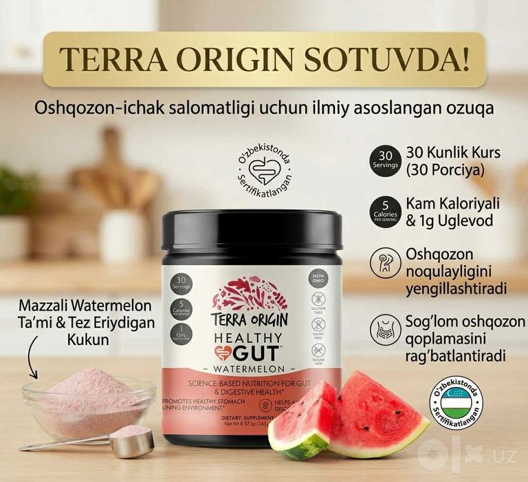 Healthy Gut Terra Origin