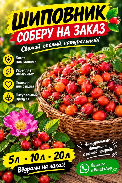 Соберу шиповник на заказ