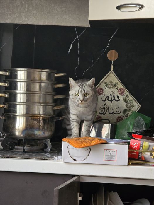 За хорошие руки без блатно