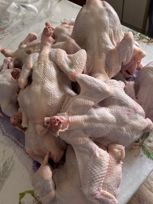 Продам домашнее мясо бройлера