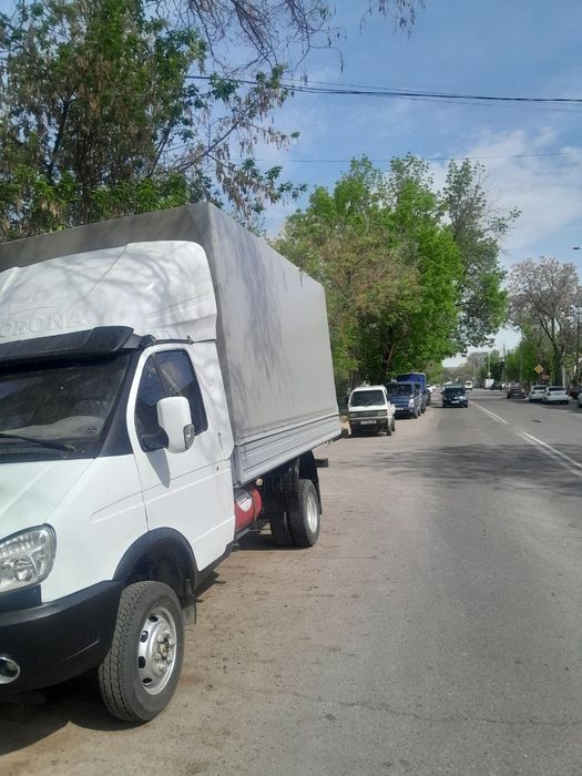 Газел сотилади 7000