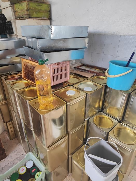 Натурален пчелен мед от кориандър