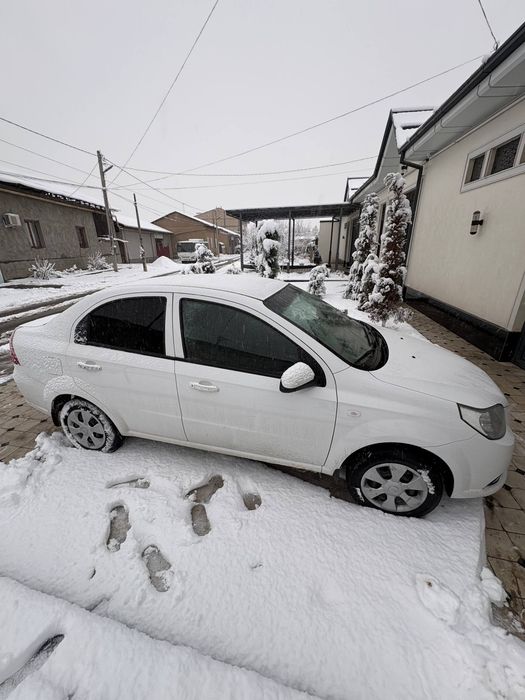 Nexia 3 kraska toza 2020