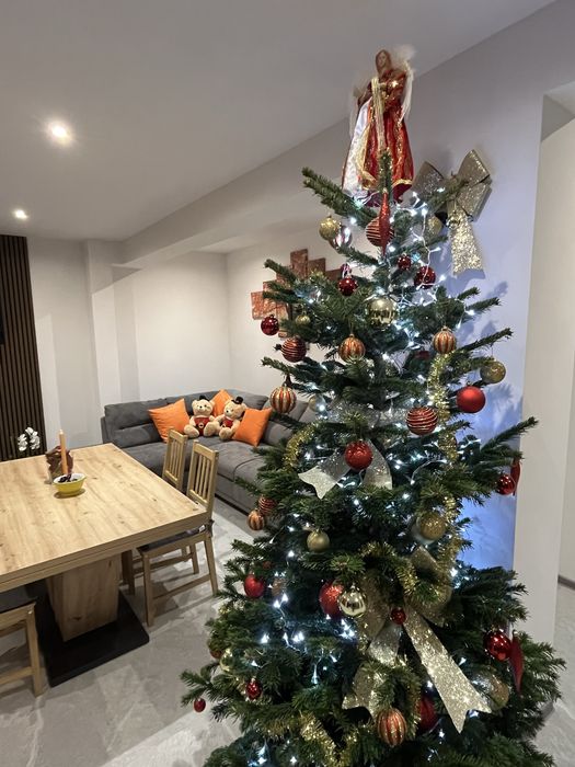 Vila de vacanta la munte