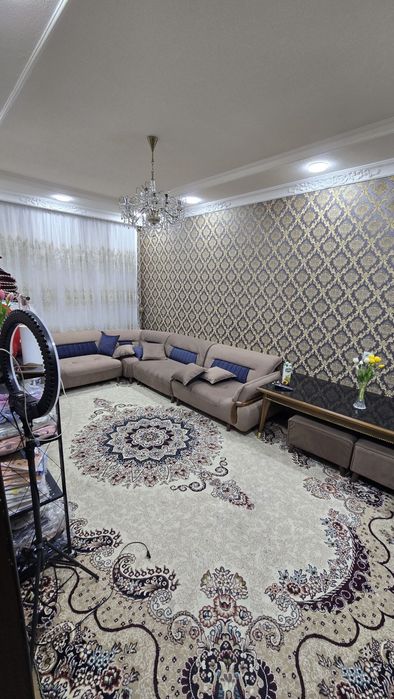 3 honali kirip yashaladi