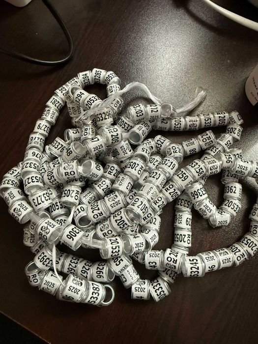 Inele porumbei 2025 FCI fara talon (100 bucati maxim)