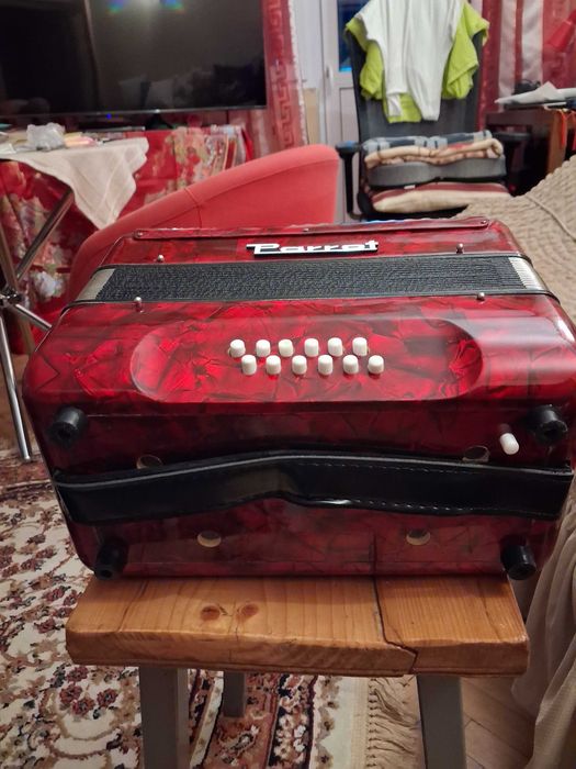 Acordeon pentru copii Parrot