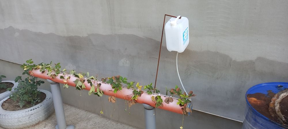 Стойка за отглеждане на ягоди