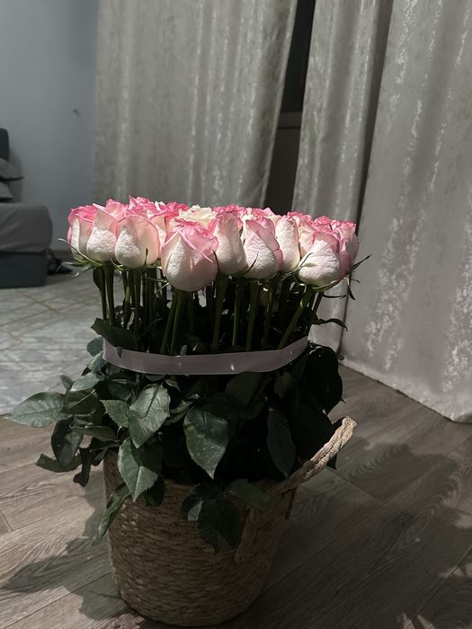 Роза 51 шт в корзине