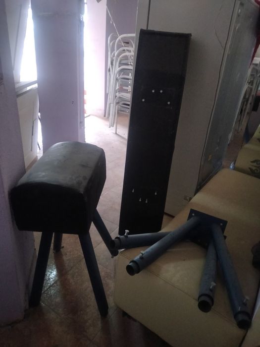 Гимнастический конь