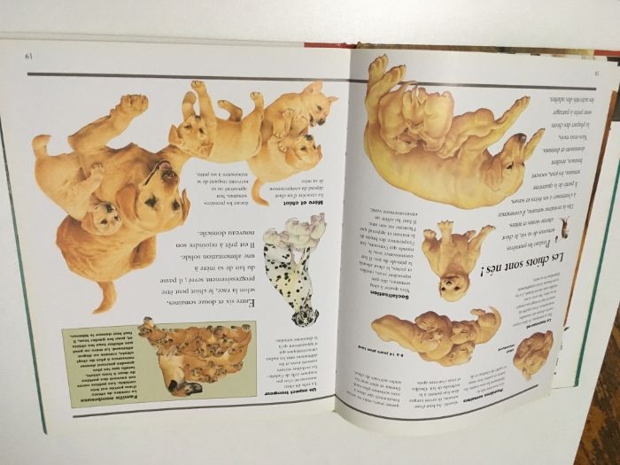 2 детски книжки на френски и английски език Les Chiens кучета