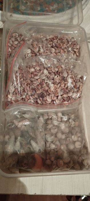 Декор для аквариума